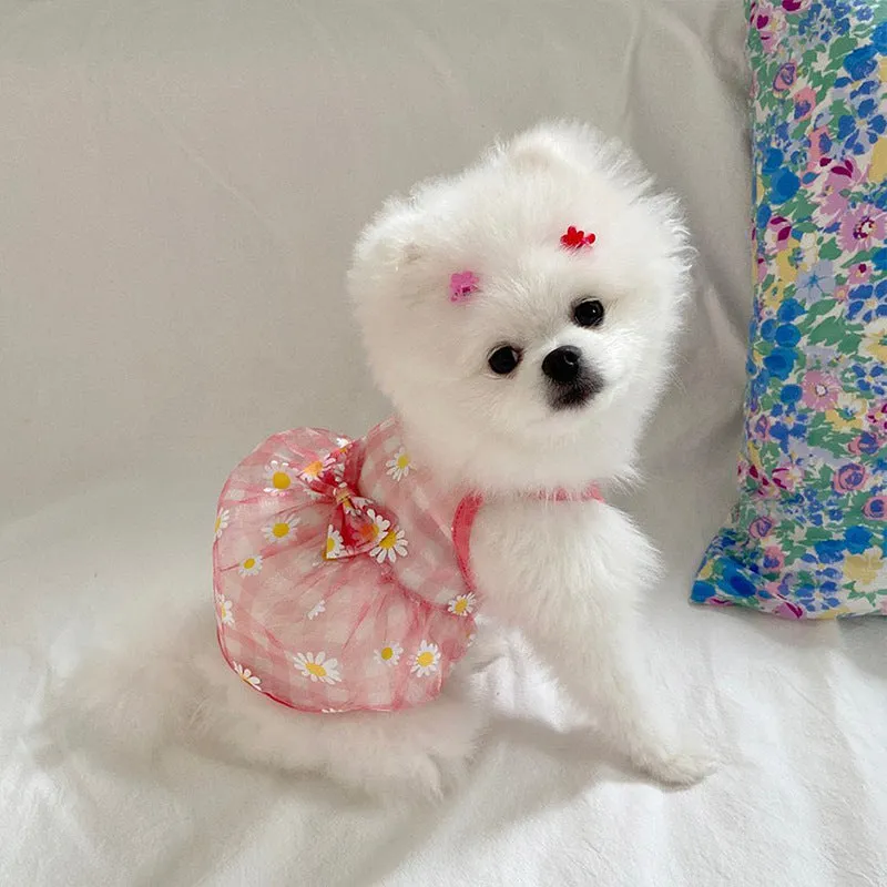 Cat And Dog Daisy Printed Mesh Vest