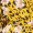 Yellow Animal Print Wrap Top